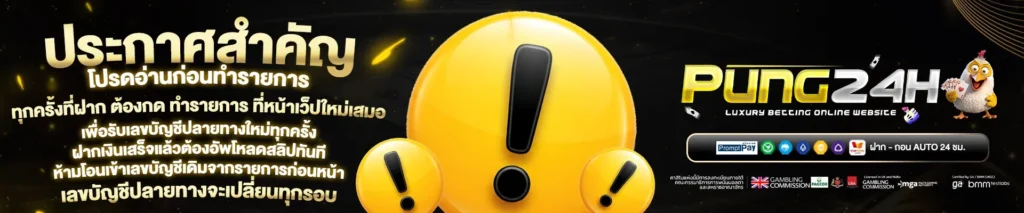 PUNG24H-BANNER-4